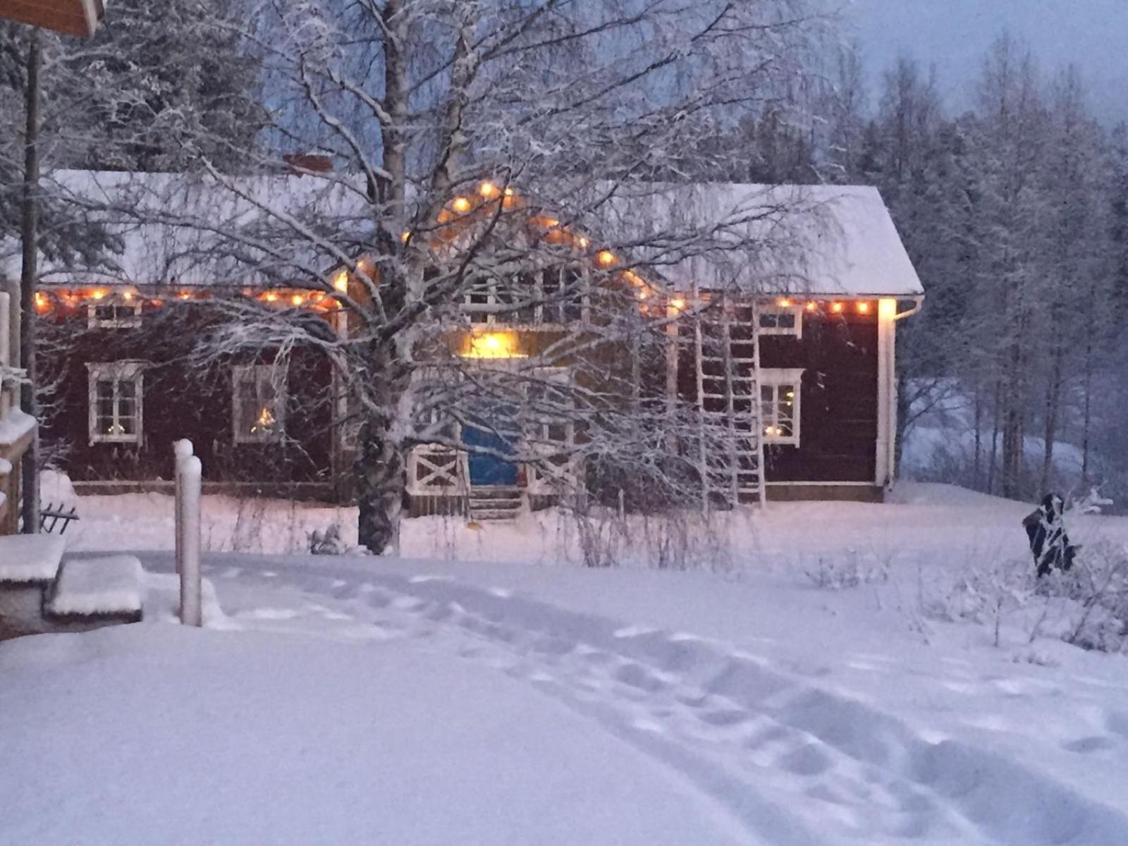 Korvala Log Cabins Bagian luar foto