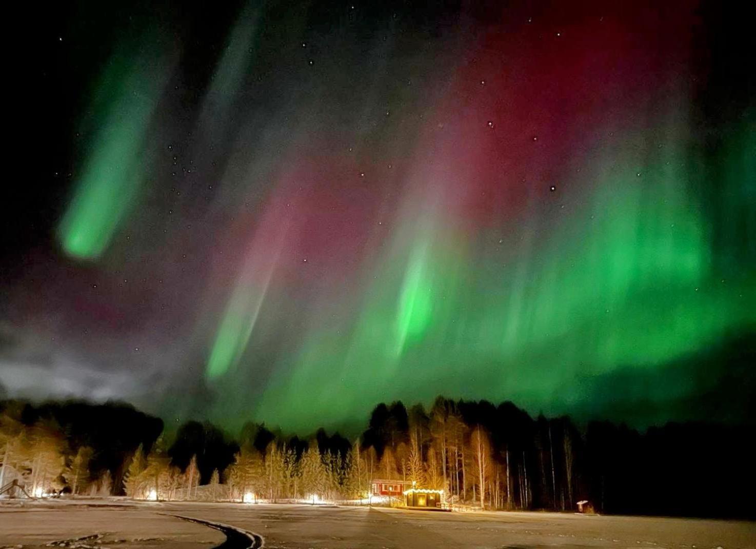 Korvala Log Cabins Bagian luar foto